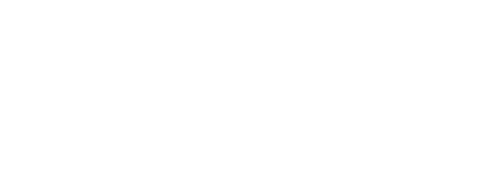 Wild Marketing Group